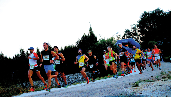 Carrera de Tollos en Alicante